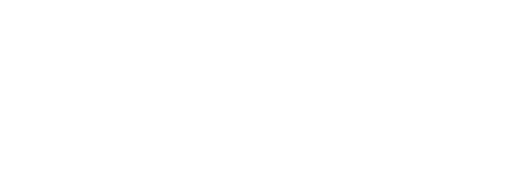 Logo Messner Rechtsanwälte weiss